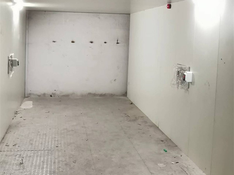 Electric Car Lift factory